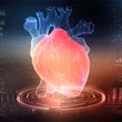Conceptual image of a heart