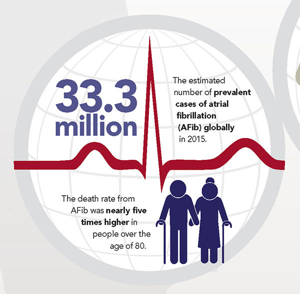 The Global Burden of Cardiovascular Diseases and Risk: A Compass for Future  Health