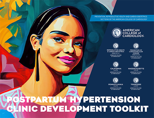 Postpartum Hypertension Clinical Development Toolkit
