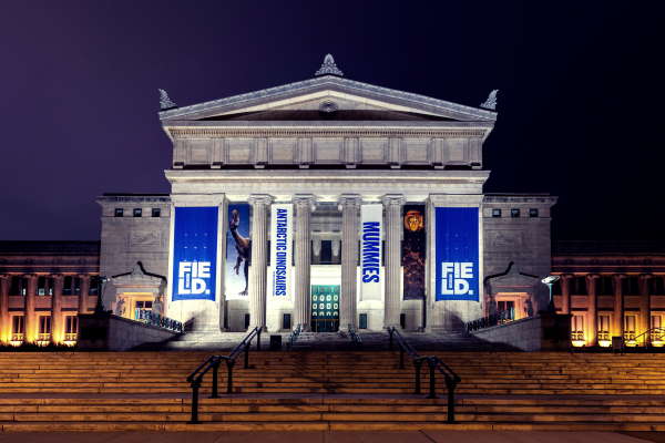 Field Museum Southern Entrance