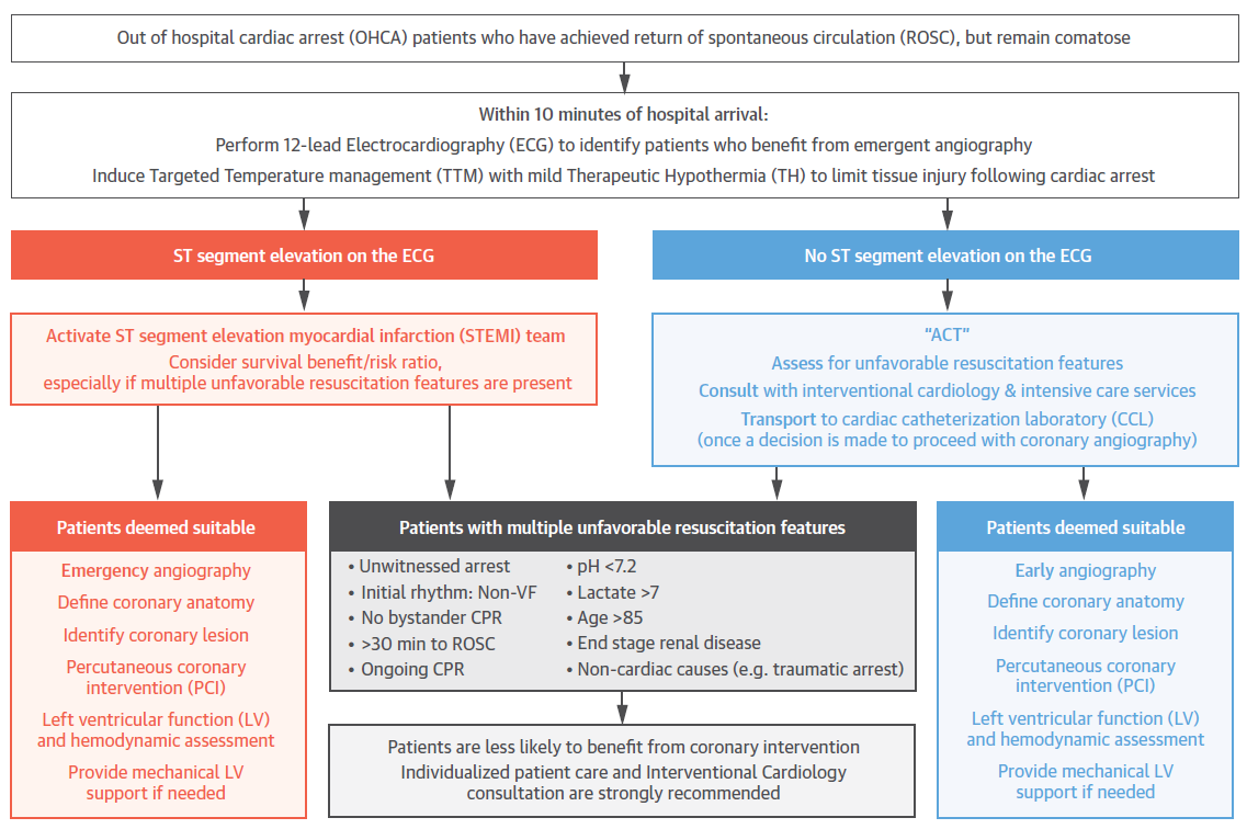 Cardiac Arrest: A Treatment Algorithm For Emergent Invasive Cardiac ...