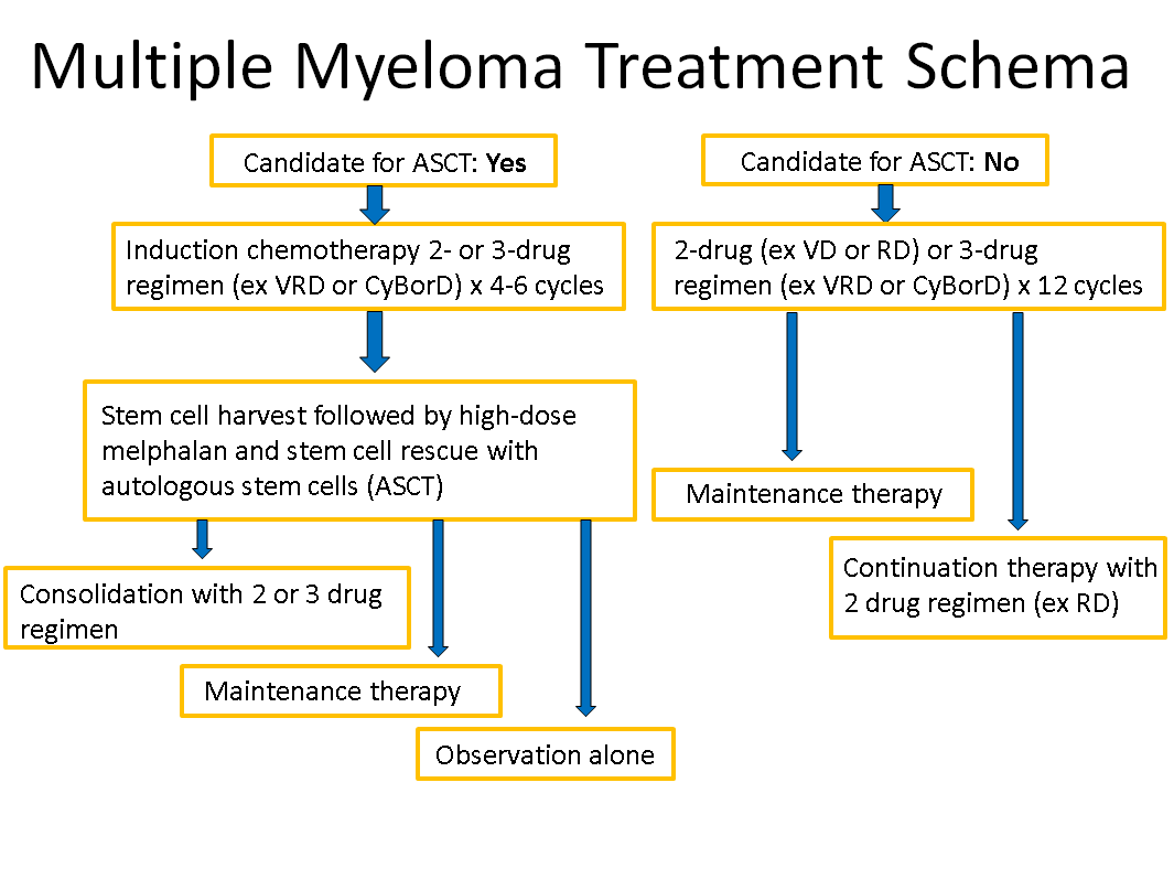 Cardiac Considerations for Modern Multiple Myeloma Therapies American