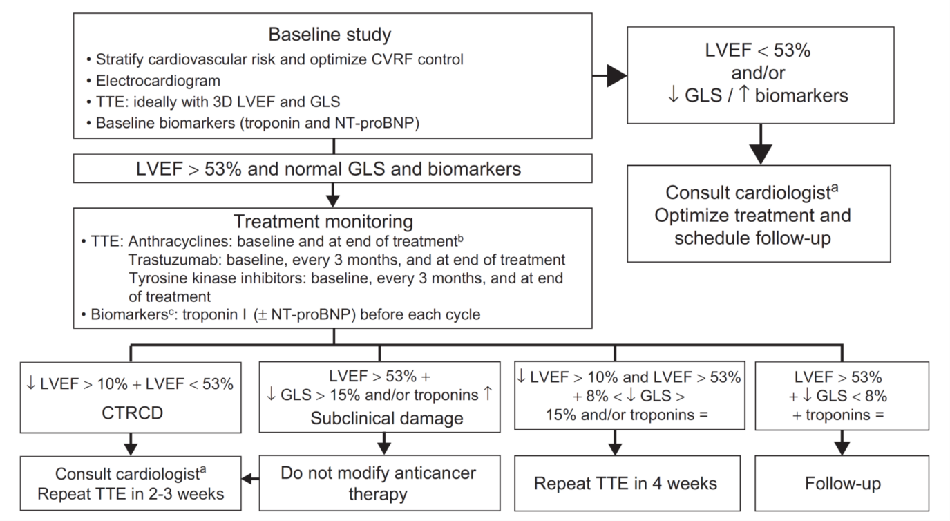 The Practice Of Cardio-Oncology In Spain: Position Statement From ...