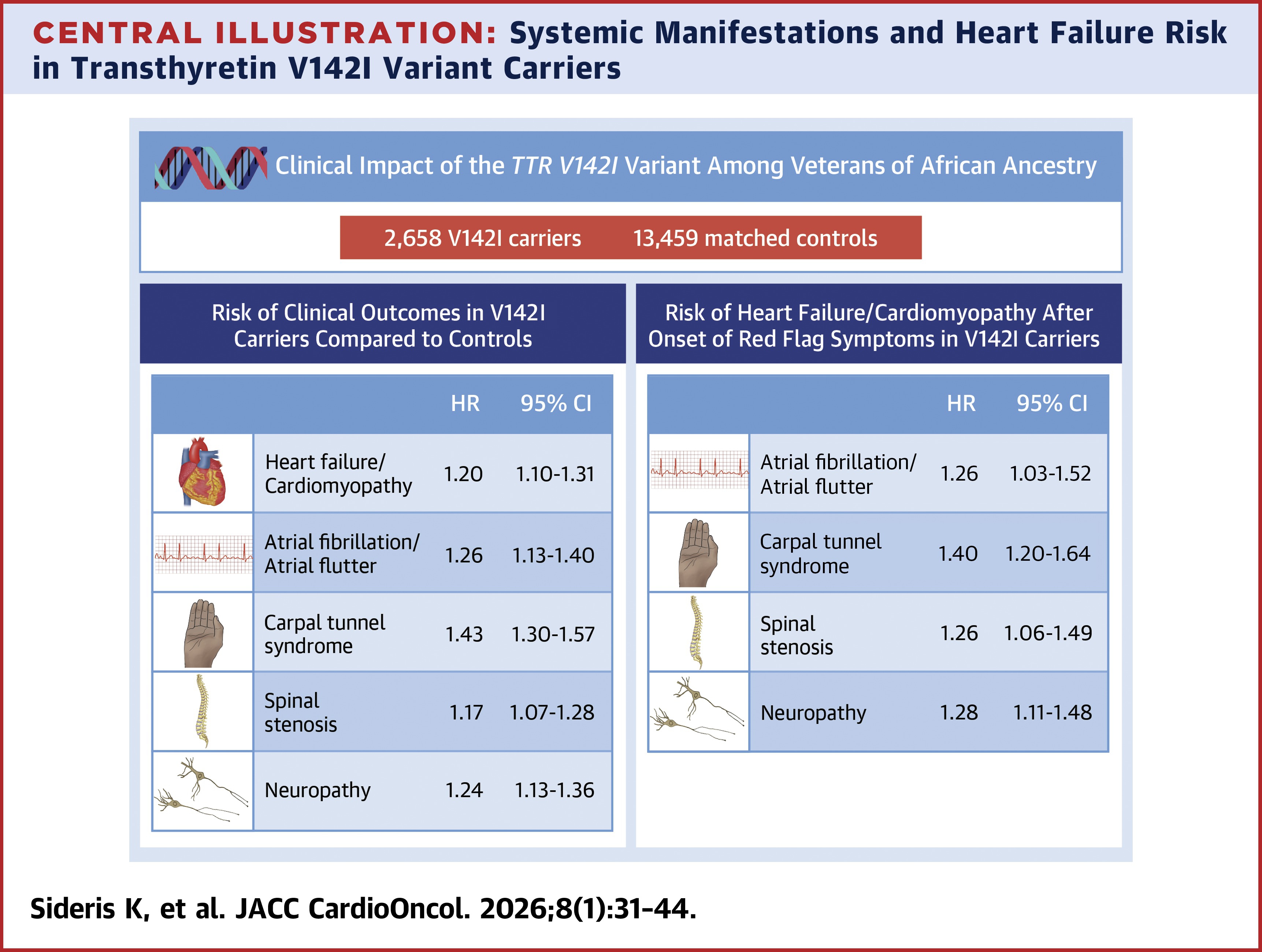JACC Central Illustration listing the systemic manifestations and HF risk of transthyretin V142I carriers.