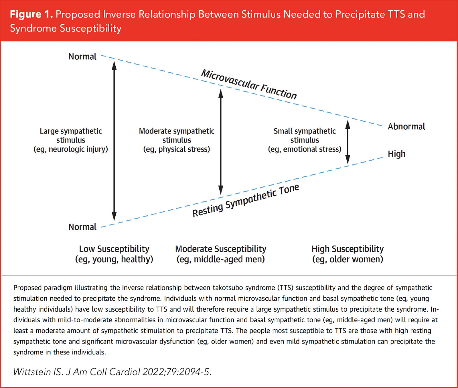 Takotsubo Syndrome: Expanding Insights, Unanswered Questions